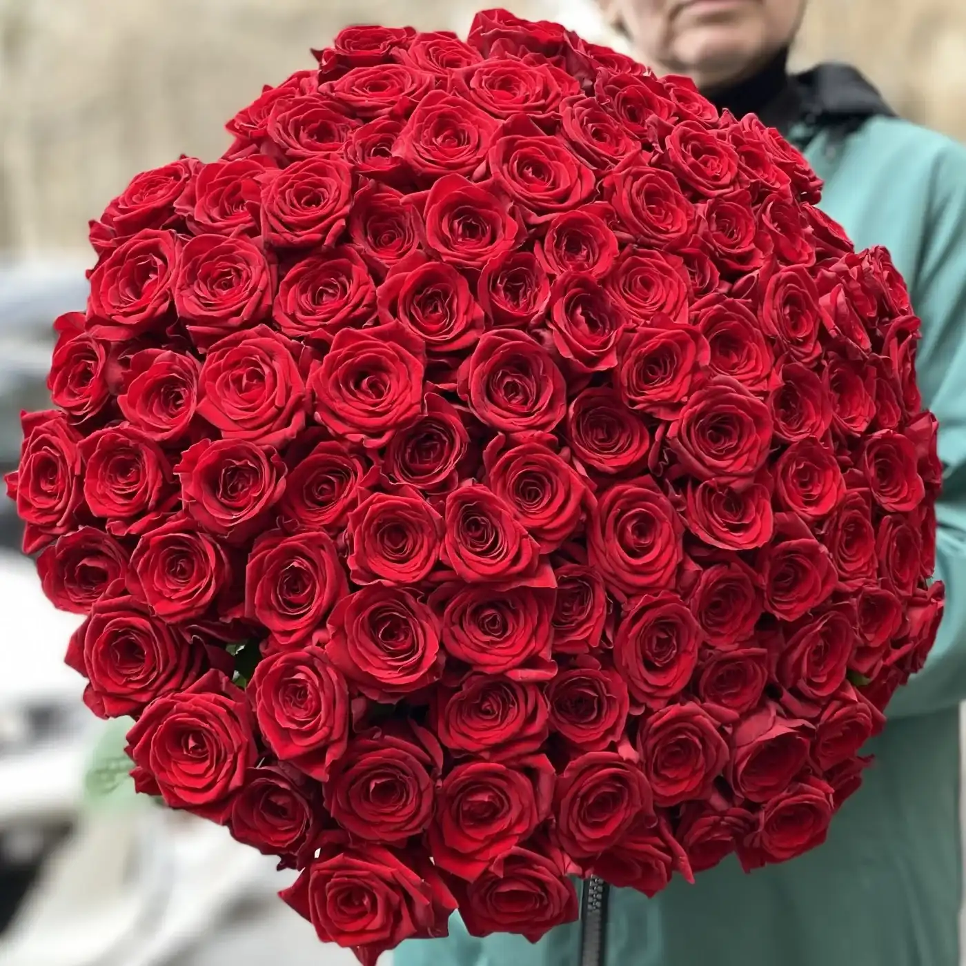 101 красная роза Premium 60 см.