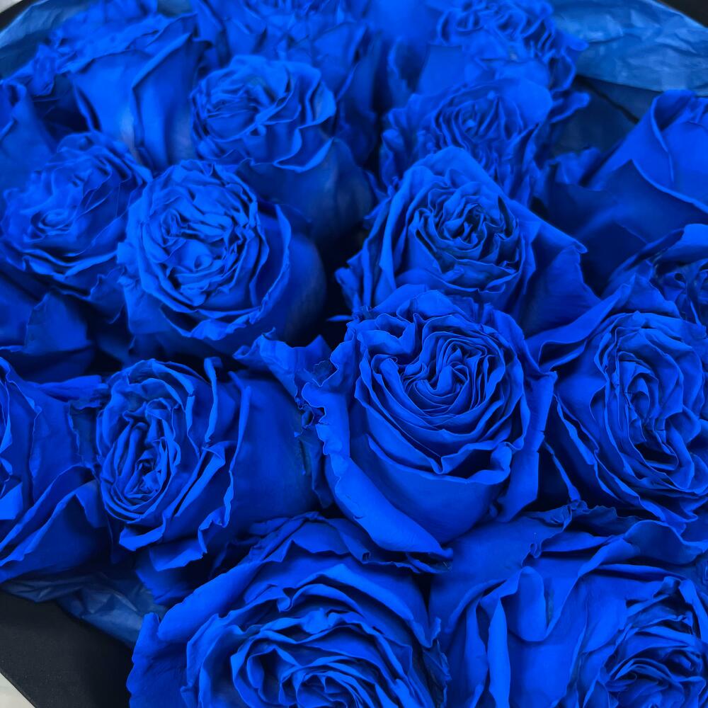 Букет из 25 синих роз Premium